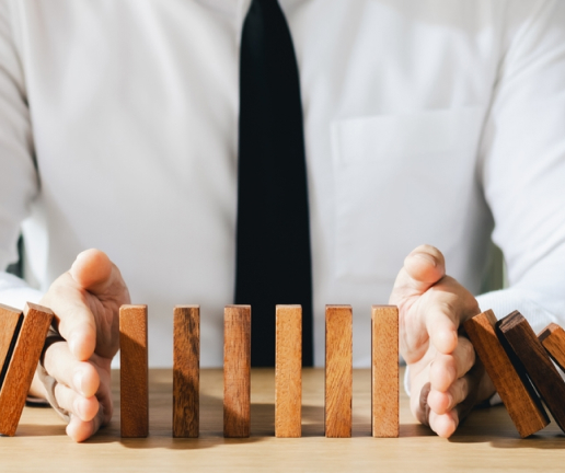 Protección jurídica - economia