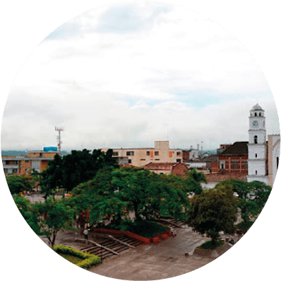 Protección jurídica - Landing SEPSA tulua